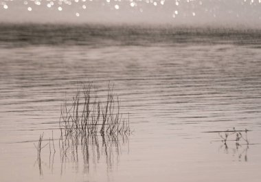 Dağlık kırlarda bahar gölü manzarası