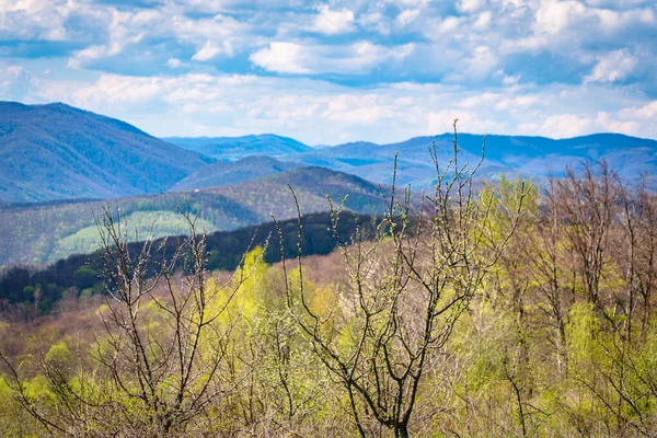 Peisaj Primăvară Într Însorită Munții Carpați — Fotografie, imagine de stoc