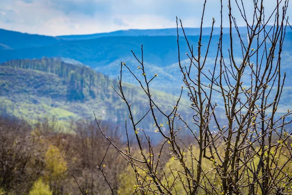 Paisagem Primavera Dia Ensolarado Nas Montanhas Dos Cárpatos — Fotografia de Stock