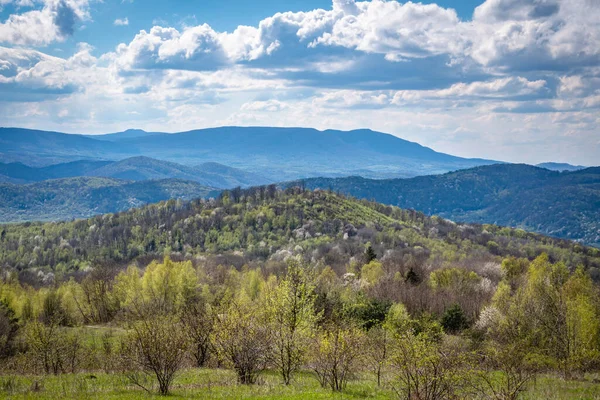 Paisagem Primavera Dia Ensolarado Nas Montanhas Dos Cárpatos — Fotografia de Stock