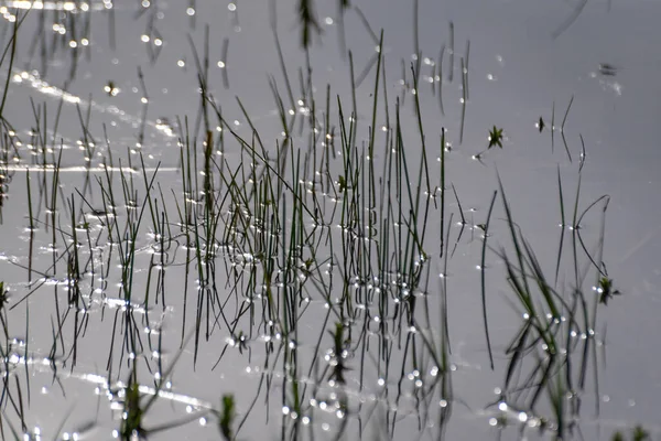 Lente Meer Landschap Bergachtig Landschap — Stockfoto