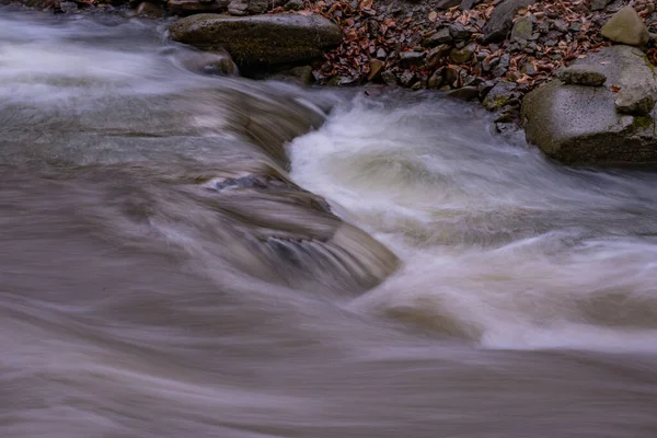 Rivière Coulant Dans Une Forêt Montagneuse Printanière — Photo