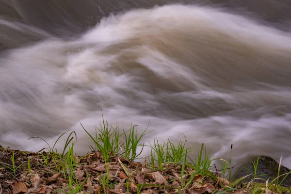 Río Que Fluye Bosque Primavera Montaña — Foto de Stock