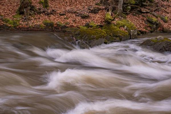 Plná Tekoucí Řeka Horském Jarním Lese — Stock fotografie