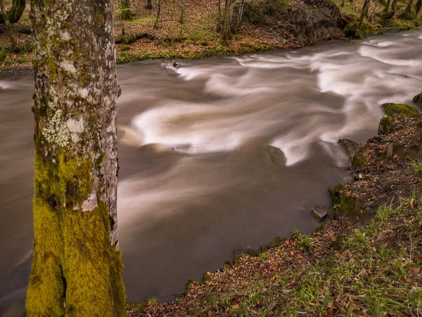 Río Que Fluye Bosque Primavera Montaña — Foto de Stock