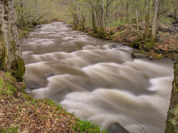 Río Que Fluye Bosque Primavera Montaña —  Fotos de Stock