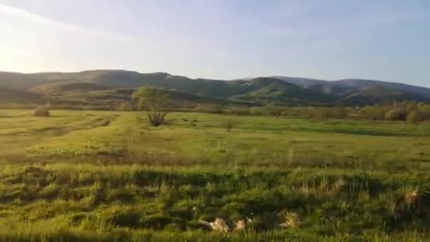 一辆越野车在春天穿越喀尔巴阡山脉的乡村 — 图库视频影像