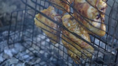 Dağ ormanında ateş üstünde tavuk pişirmek.