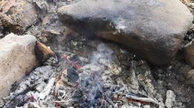 Dağ ormanında ateş üstünde tavuk pişirmek.