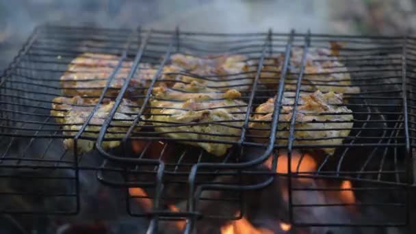 Cozinhar Frango Sobre Fogo Uma Floresta Montanha — Vídeo de Stock