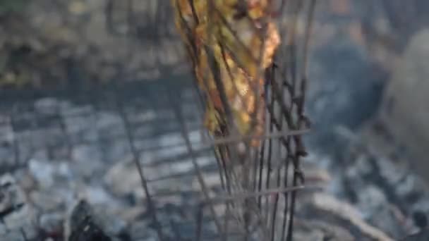 在山林的火堆上煮鸡肉 — 图库视频影像