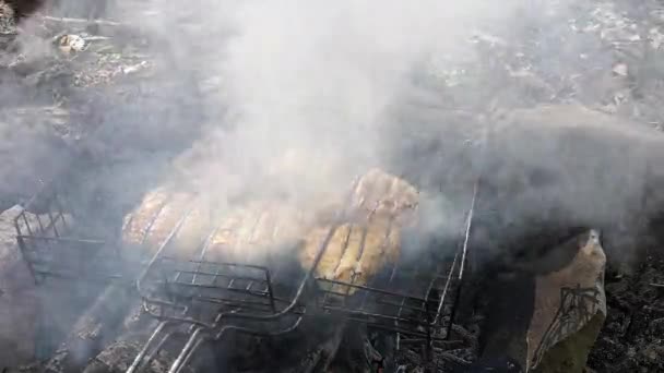산속의 숲에서 불위에서 닭고기를 요리하는 — 비디오