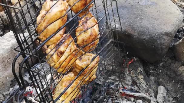 Cozinhar Frango Sobre Fogo Uma Floresta Montanha — Vídeo de Stock