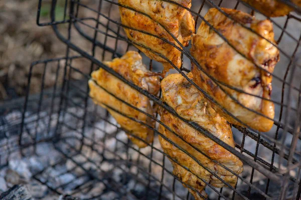 Kip Koken Boven Een Vuur Een Bergbos — Stockfoto