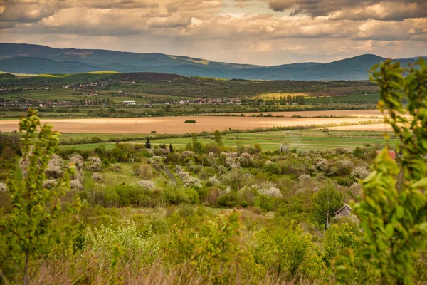 Spring landscape in the valley of the Carpathian mountains