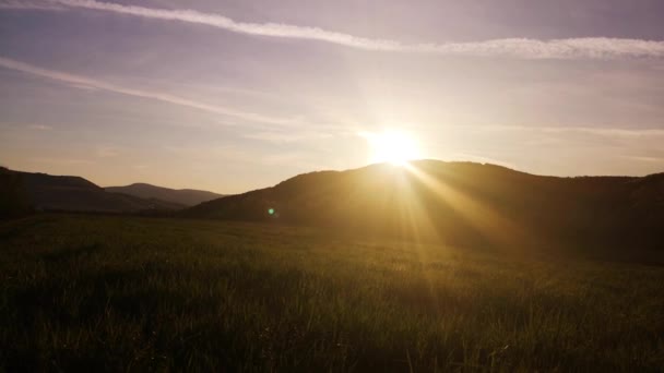 Glade Avec Jeune Herbe Sur Fond Coucher Soleil — Video