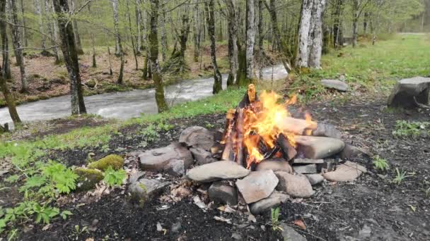 Firewood Fire Bank Mountain Spring River — Stock Video