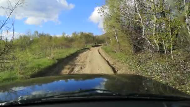 Der Suv Reist Frühling Die Karpaten — Stockvideo