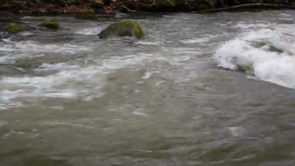 Rio Pleno Fluxo Uma Floresta Primavera Montanha — Vídeo de Stock