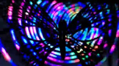 Hareket eden çok renkli bir arkaplanda açık maske kelebeği