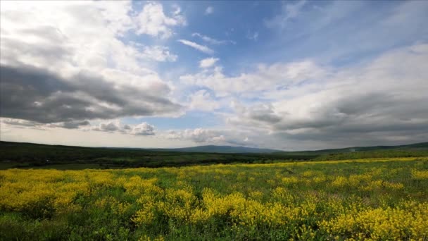 Time Lapse Spring Landscape Village Valley Carpathian Mountains — Stock Video