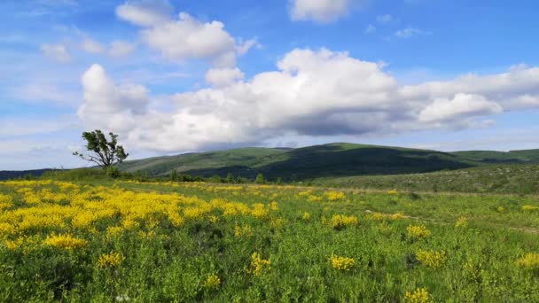 喀尔巴阡山脉谷地村庄的时光流逝的春景 — 图库视频影像