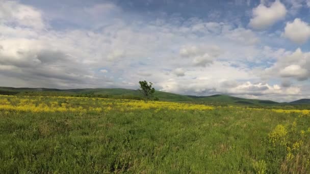 Time Lapse Spring Landscape Village Valley Carpathian Mountains — Stock Video