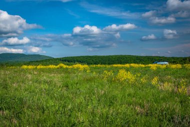 SUV ilkbaharda Karpatlar 'da seyahat eder.