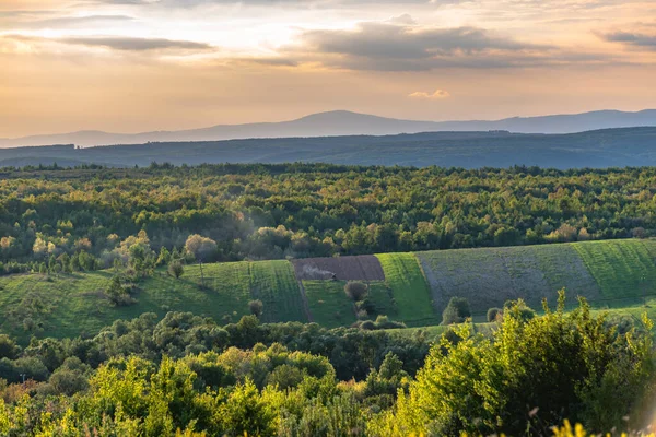 Paisaje Primavera Con Tractor Arando Campo —  Fotos de Stock