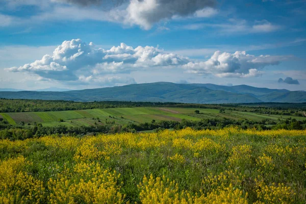 Frühlingslandschaft Tal Der Karpaten — Stockfoto