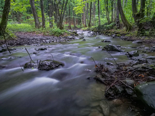 Ruscello Primaverile Montagna Nella Foresta — Foto Stock