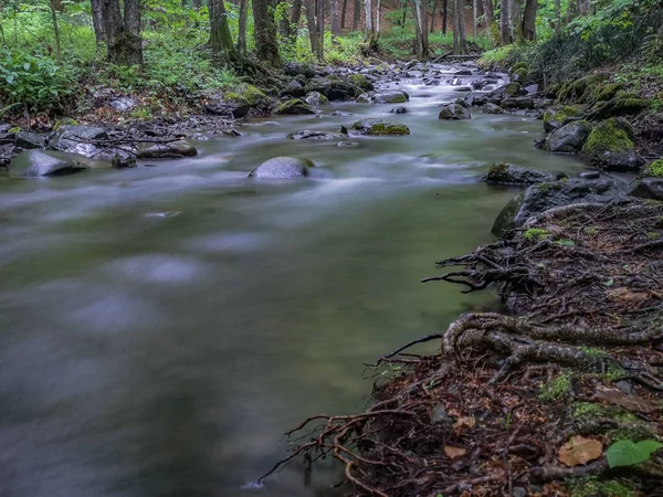 Ruscello Primaverile Montagna Nella Foresta — Foto Stock