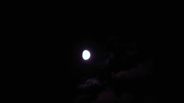 Fuerte Halo Luna Cielo Nocturno Nublado — Vídeo de stock