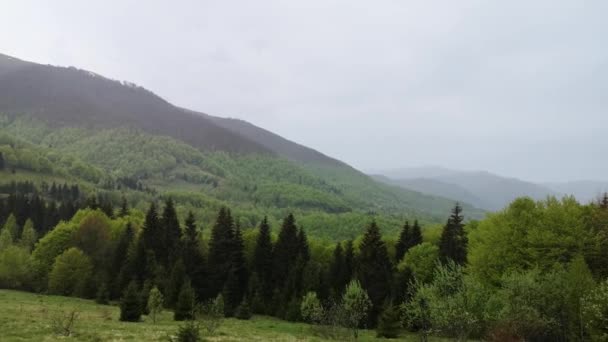 在喀尔巴阡山脉 一个越野车在雨天行驶 — 图库视频影像