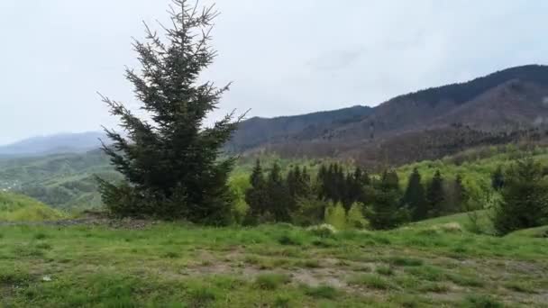 Ein Geländewagen Fährt Einem Regentag Den Karpaten — Stockvideo