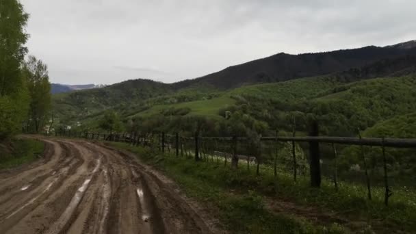 Een Roader Reist Een Regenachtige Dag Karpaten — Stockvideo