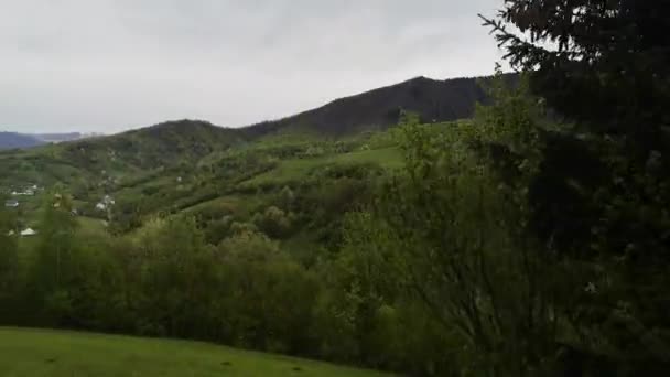 Een Roader Reist Een Regenachtige Dag Karpaten — Stockvideo