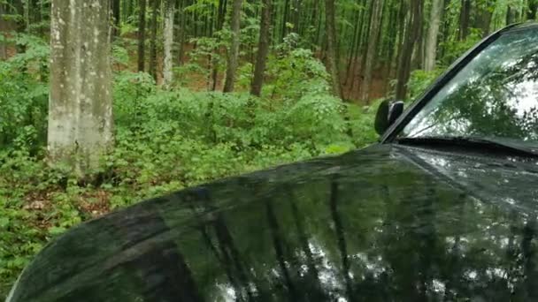 雨の中の山の森の中のSuv — ストック動画