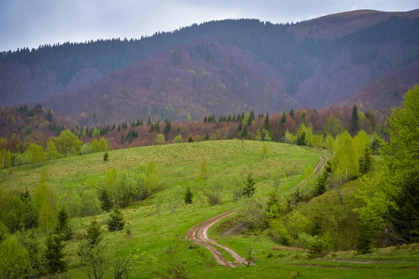 Весняний Пейзаж Карпатах Під Дощем — стокове фото