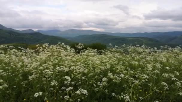 Lapso Tempo Paisagem Primavera Nos Cárpatos — Vídeo de Stock