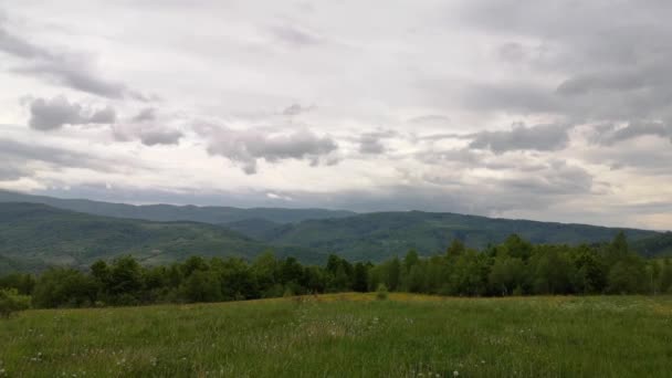 Frühlingslandschaft Den Karpaten Vor Dem Regen — Stockvideo