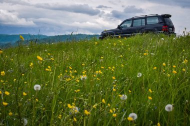 SUV ilkbaharda Karpatlar 'da seyahat eder.