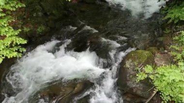 Bahar Ormanı 'ndaki fırtınalı dere