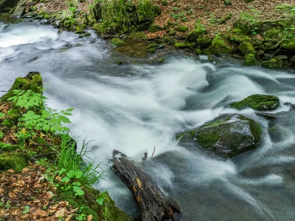 Torrente Tempestosa Nella Foresta Montagna Primaverile — Foto Stock