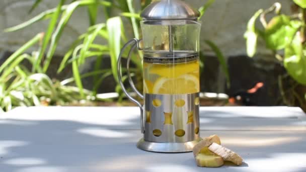 Имбирный Чай Лимоном Французской Прессе — стоковое видео