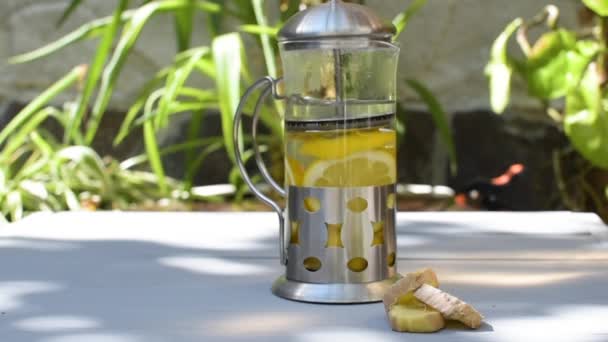 Chá Gengibre Com Limão Uma Imprensa Francesa — Vídeo de Stock