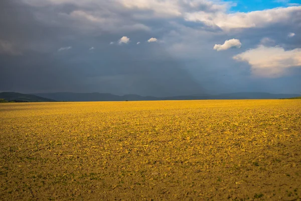 Paisagem Campo Com Uma Nova Colheita Antes Uma Tempestade — Fotografia de Stock