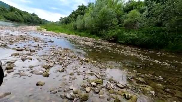 Suv Fährt Auf Einem Gebirgsfluss — Stockvideo