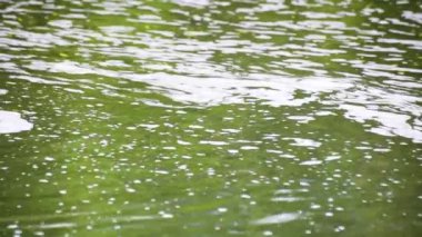 Dağ nehrinde doğal köpük hareket eder.