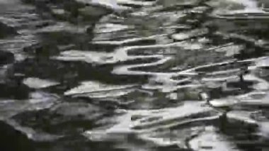 Gün batımında su ve güneşin görüntüsü